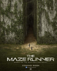 The Maze Runner